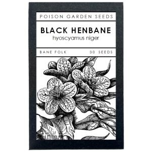 black-henbane-seeds