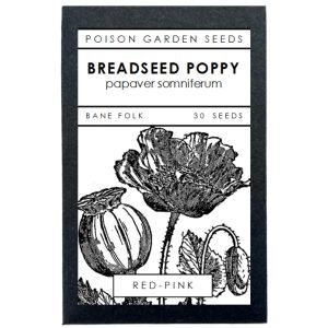 breadseed-poppy-seeds