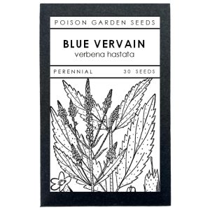 Blue Vervain Seeds