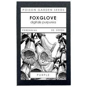 Foxglove Seeds (Purple)