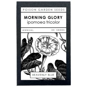 Morning Glory 'Heavenly Blue' Seeds