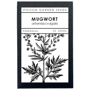 Mugwort Seeds