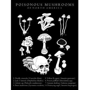 Poisonous Fungi Print