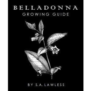 belladonna-growing-guide