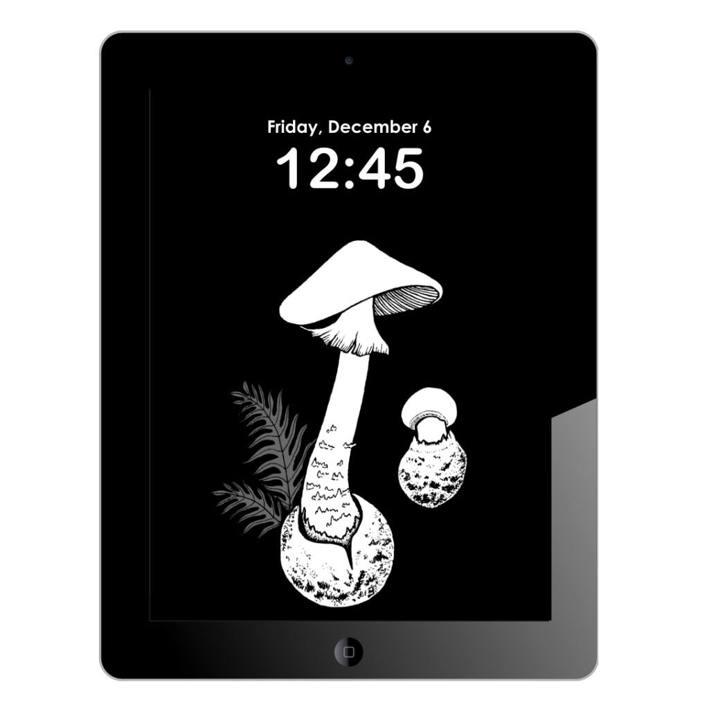 destroying-angel-tablet-wallpaper