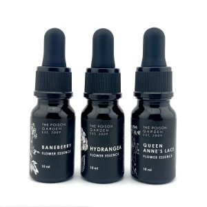 Femme Health Flower Essence Set