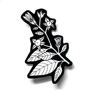Belladonna Sticker