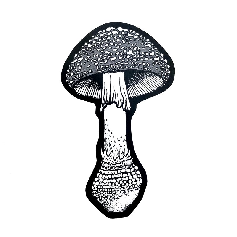 Fly Agaric Sticker