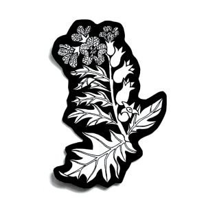 Henbane Sticker